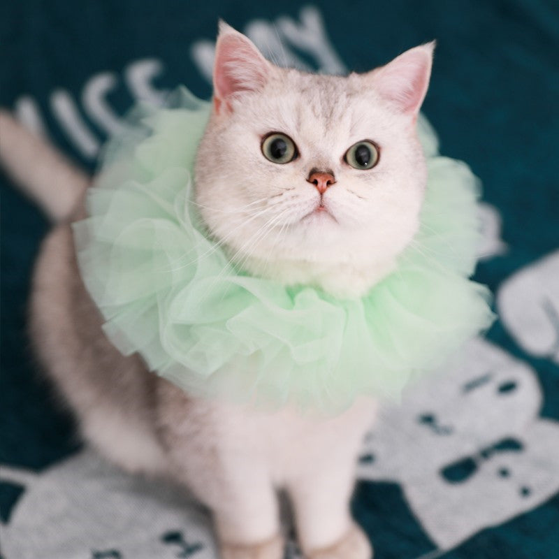 KFX-5305661 Royal Pet Cat Cape with Lace Collar and Crown - Red, Black, Green, White Sizes S & M