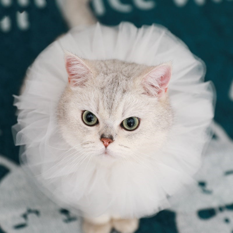 KFX-5305661 Royal Pet Cat Cape with Lace Collar and Crown - Red, Black, Green, White Sizes S & M