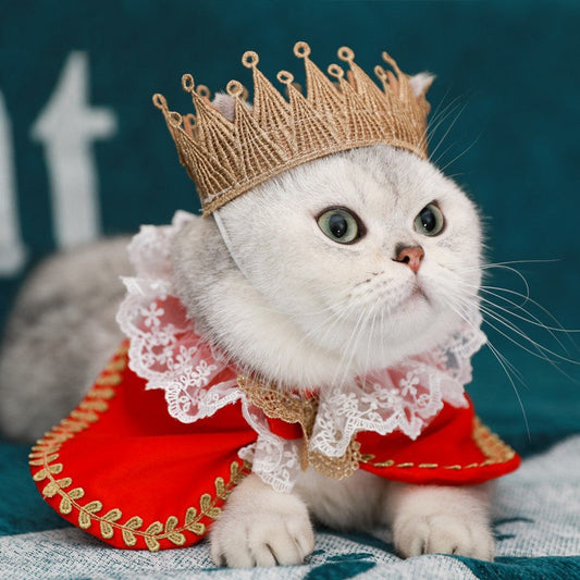 KFX-5305661 Royal Pet Cat Cape with Lace Collar and Crown - Red, Black, Green, White Sizes S & M