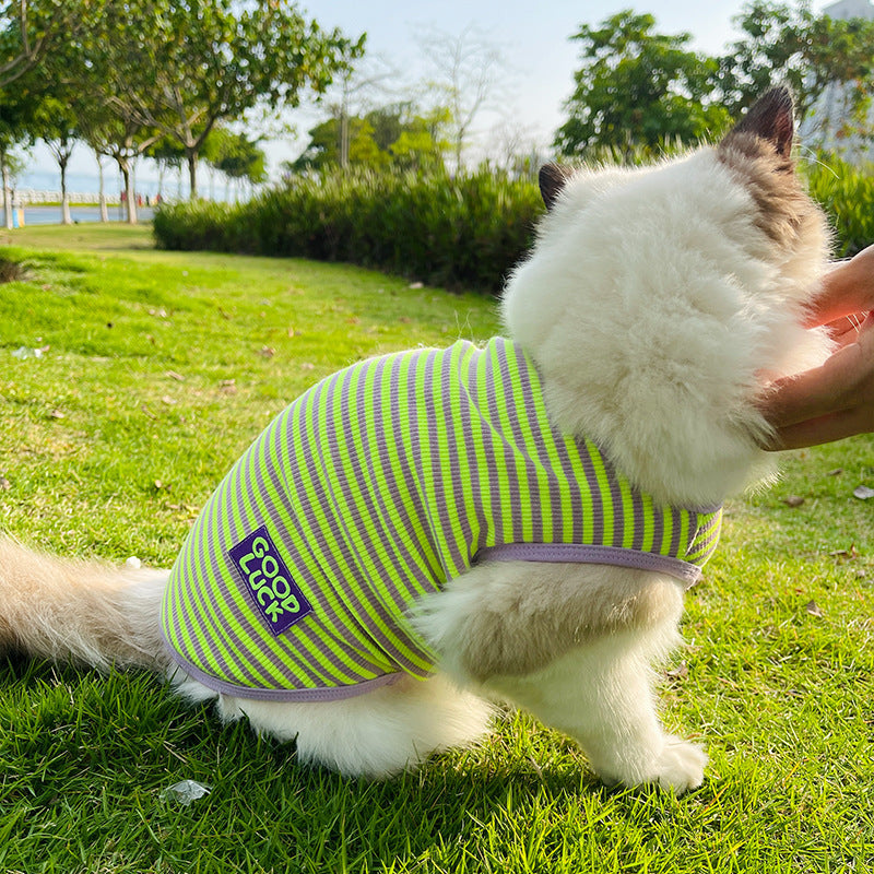 KFX-5309245 Cool Breathable Stripe Vest for Small Dogs and Cats in Fluorescent Green and Pink, Casual Cotton Pet Clothing