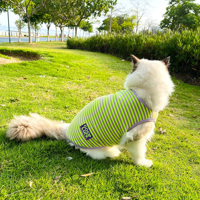 KFX-5309245 Cool Breathable Stripe Vest for Small Dogs and Cats in Fluorescent Green and Pink, Casual Cotton Pet Clothing