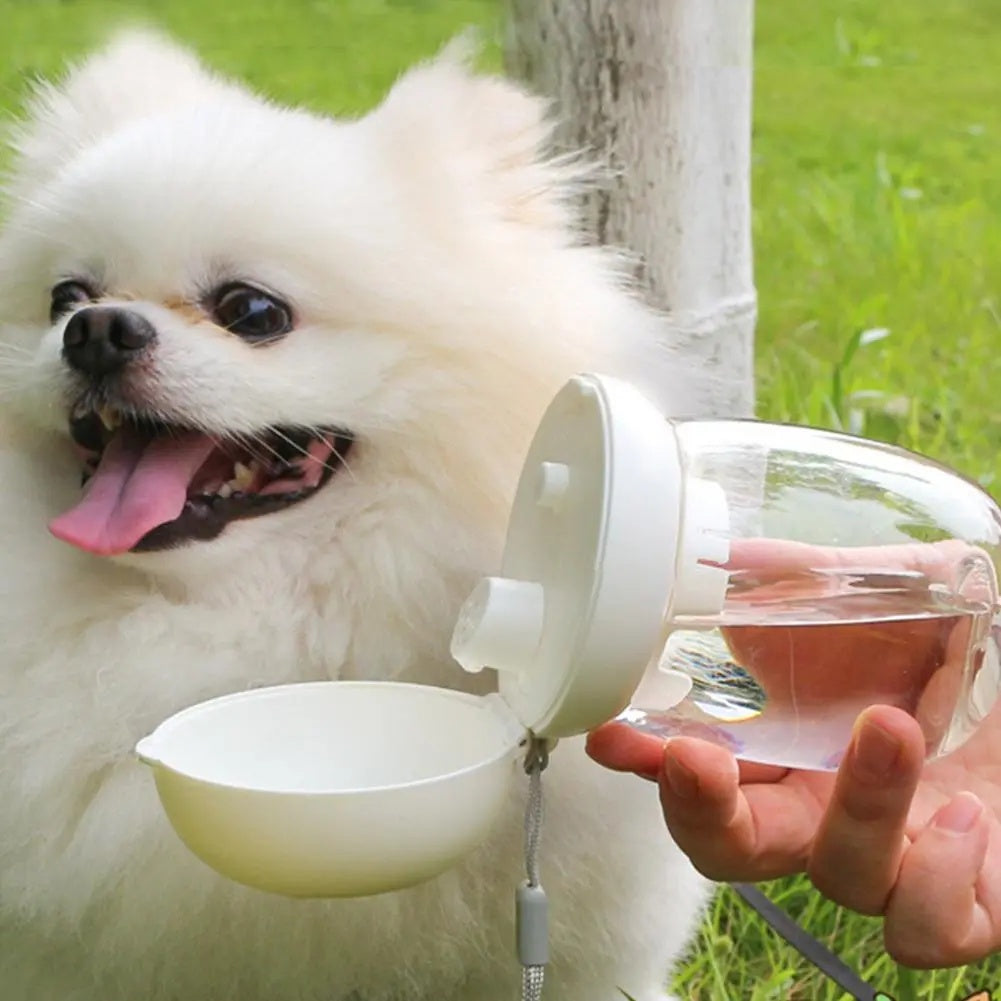 KFX-5316669 Portable Pet Water Bottle for Travel - 300ml & 550ml Options, High Temperature Resistant, Lanyard Included