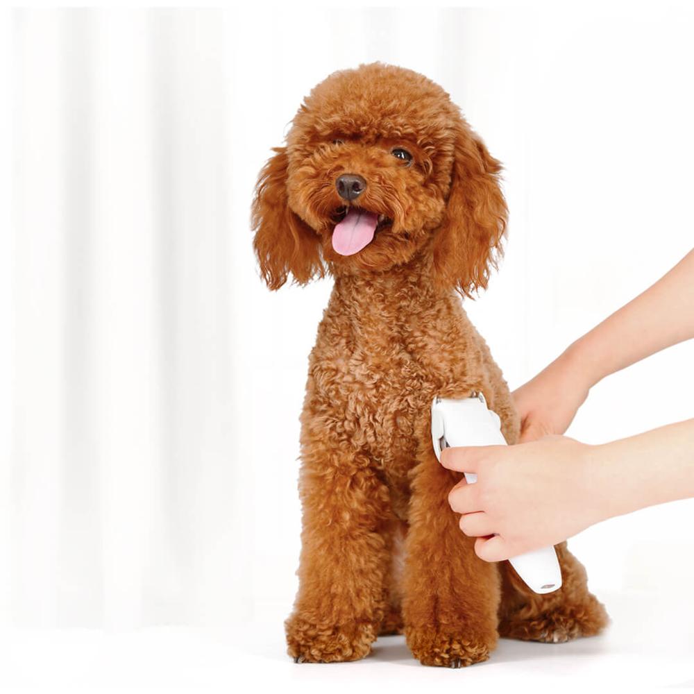 KFX-5320765 Pet Grooming Shaver with Adjustable Comb, USB Rechargeable, Low Noise and Lightweight Design