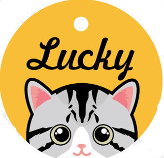KFX-5321021 Custom Acrylic Pet Identity Plate with Bell and Collar Attachment - Lightweight and Elegant Design