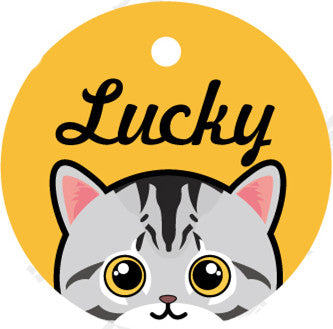 KFX-5321021 Custom Acrylic Pet Identity Plate with Bell and Collar Attachment - Lightweight and Elegant Design