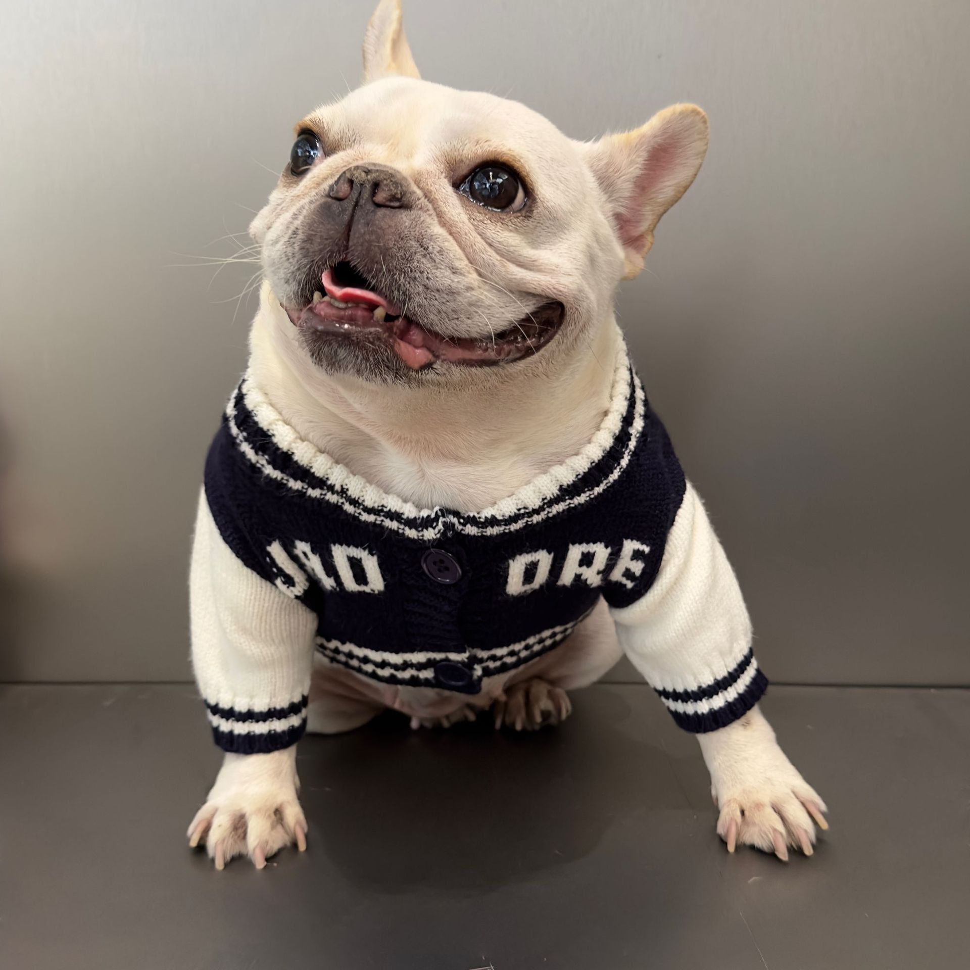 KFX-5322941 Cozy Dark Blue Woolen Pet Sweater for Cats and Dogs - Available in Multiple Sizes