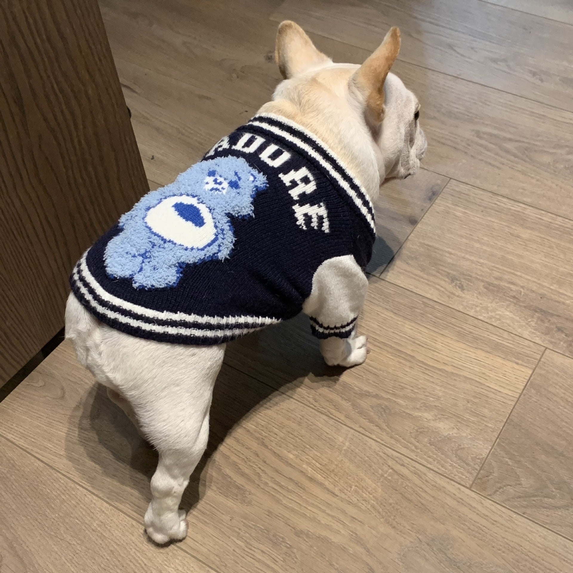 KFX-5322941 Cozy Dark Blue Woolen Pet Sweater for Cats and Dogs - Available in Multiple Sizes