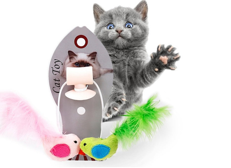 KFX-5328701 Cat Lover's Delight Set: Cat Ear Hat, Pet Balls, Cat Watch, Funnel, and Teaser Wand