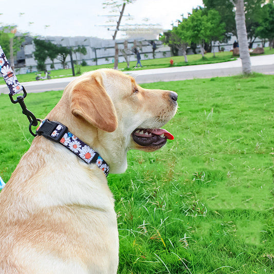 KFX-5329981 Universal Chest and Back Pet Leash Vest - Multiple Designs and Sizes Available