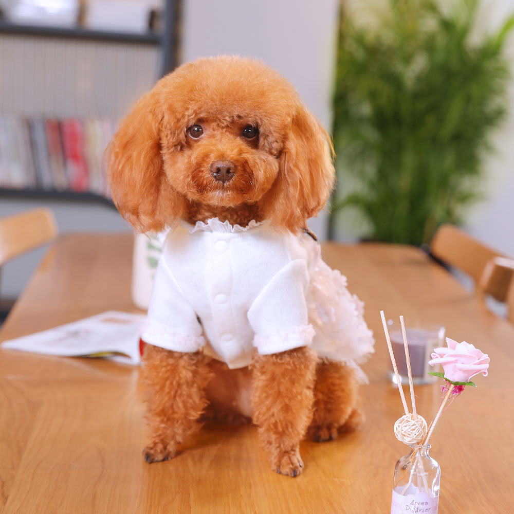 KFX-5334845 Cute Three-Dimensional Lace Dog Skirt for Small Pets - Stylish Polyester Fiber Dress