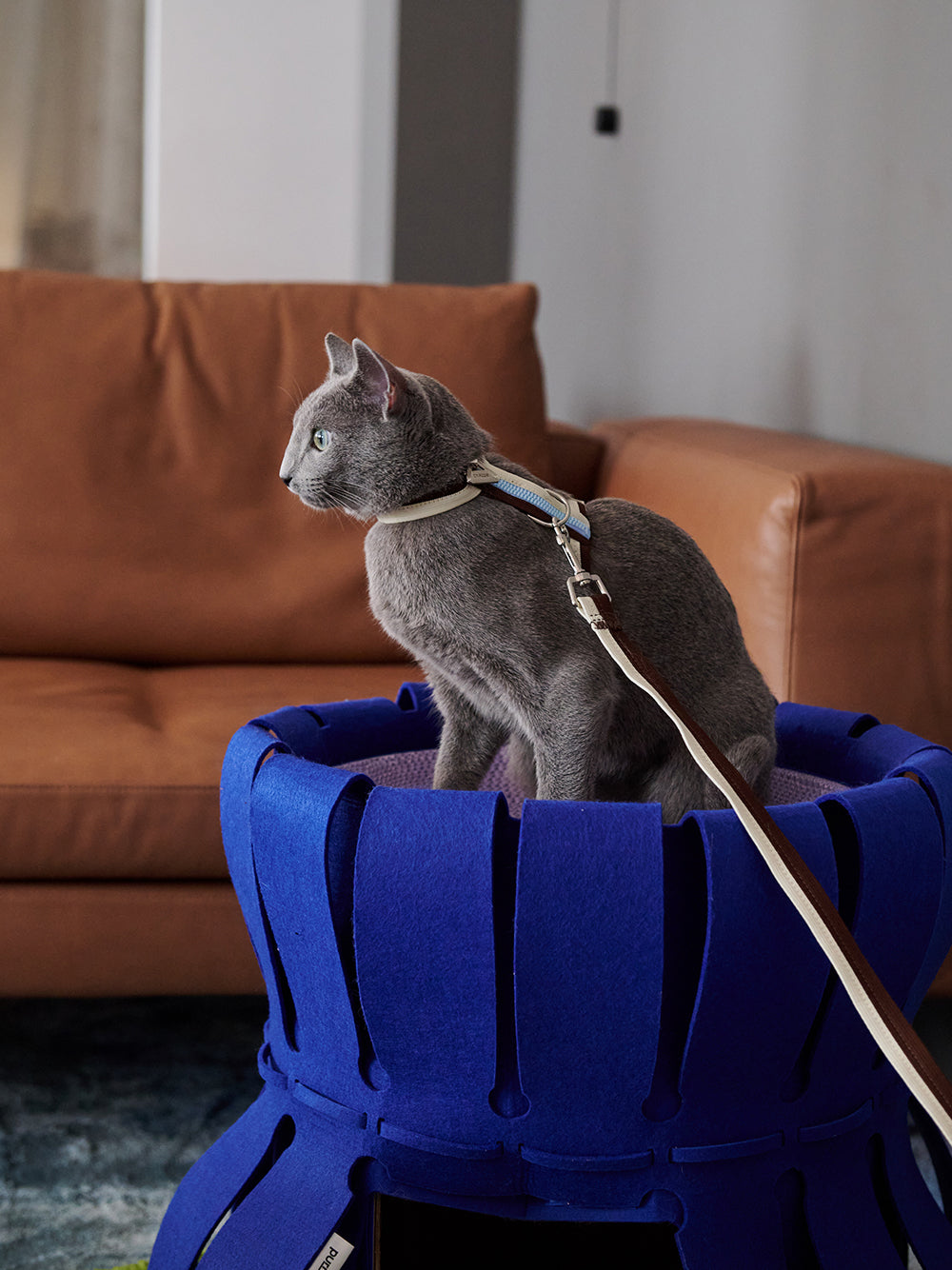 KFX-5336637 Double-Decker Cat Nest with Multi-Functional Scratching Board - Corrugated Paper and Felt, 50x50x40cm