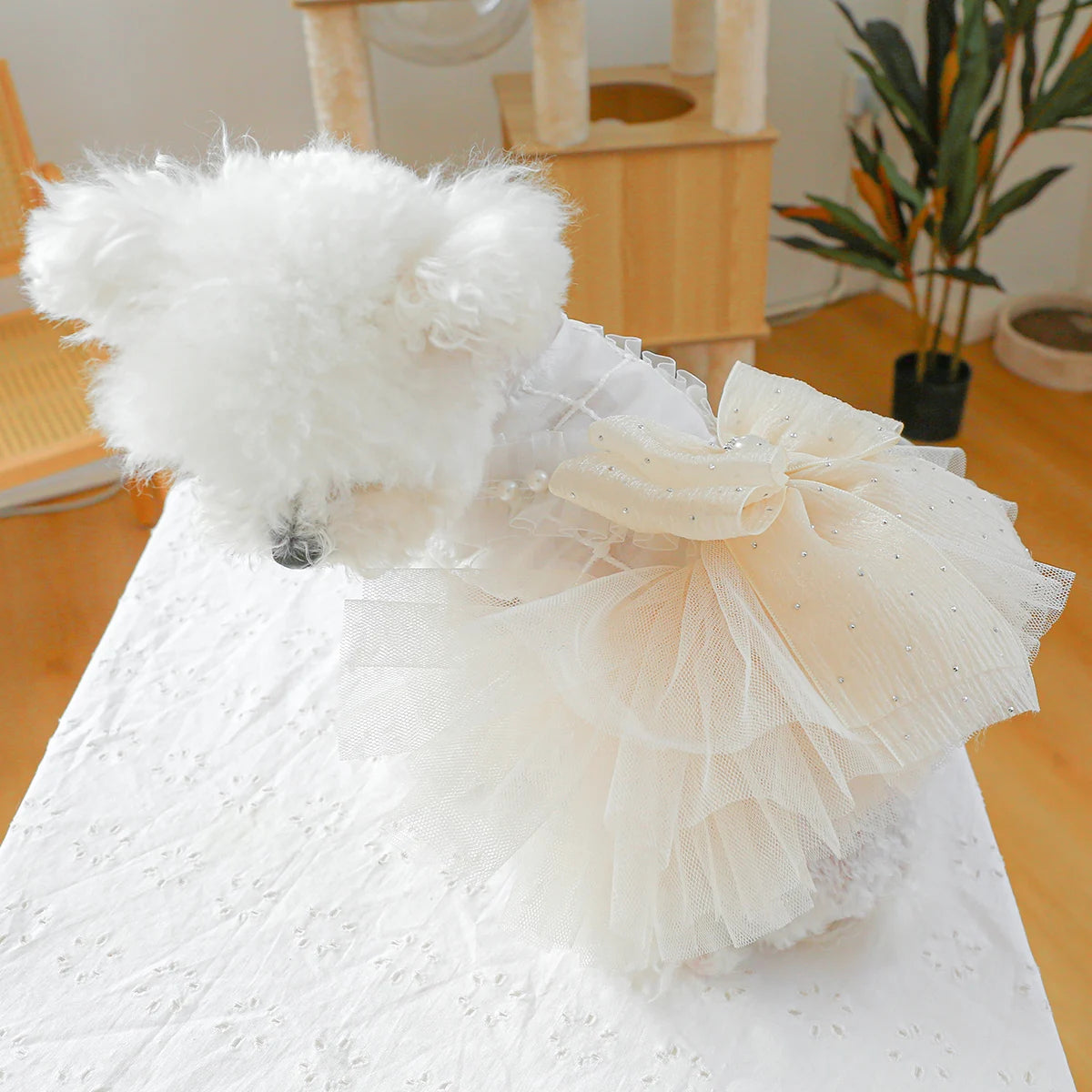 KFX-5343805 Elegant Dog Tulle Tutu Skirt Wedding Dress for Pets - Available in Multiple Sizes