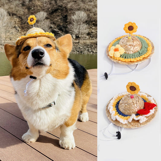KFX-5346365 Adorable Decorative Pet Hats for All Seasons - Various Designs Available