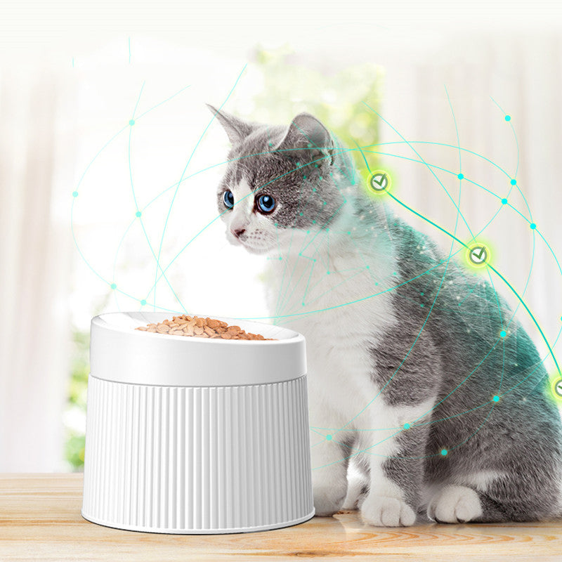 KFX-5348157 Geometric Double Cat Bowl – A5 Food Grade Melamine, φ194 * h145mm