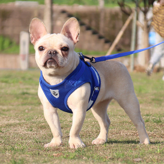 KFX-5351229 Reflective and Breathable Pet Chest Strap for Cats and Dogs - Sizes XS to XL, Available in Multiple Colors