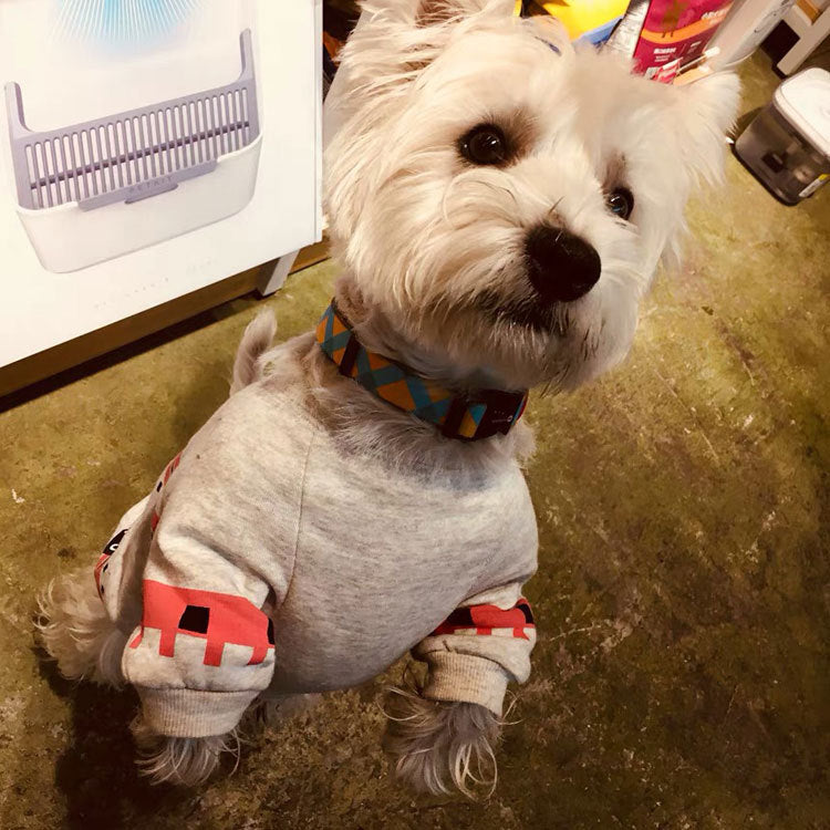 KFX-5361853 Geometric Print Cotton Sweater for Pets in Retro Colors