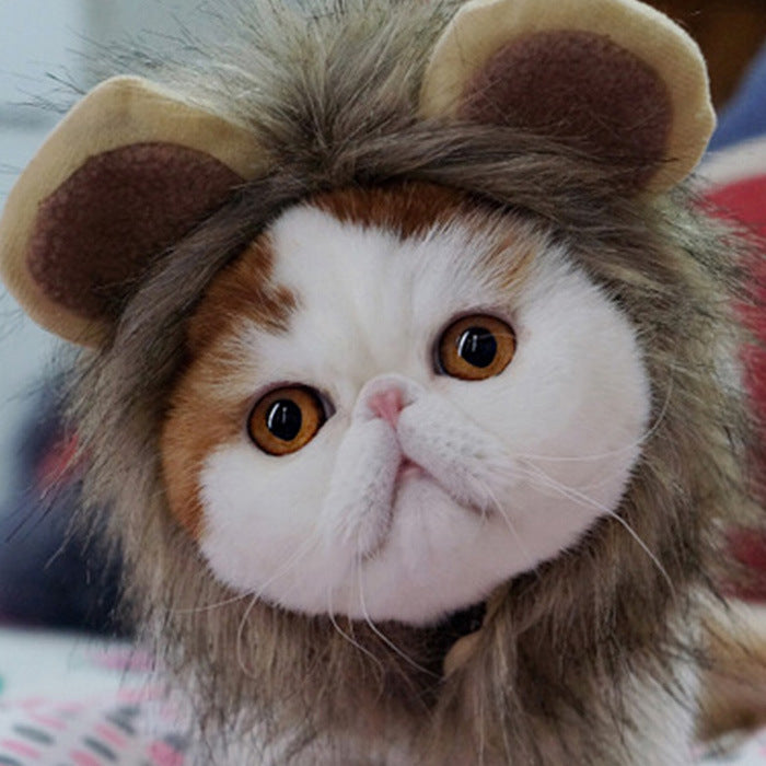 KFX-5368253 Cute Lion Headgear Cat Hat for Adorable Transformations - Non-Woven Material, Sizes S-38cm