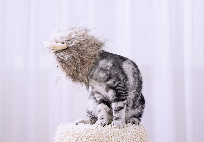 KFX-5368253 Cute Lion Headgear Cat Hat for Adorable Transformations - Non-Woven Material, Sizes S-38cm