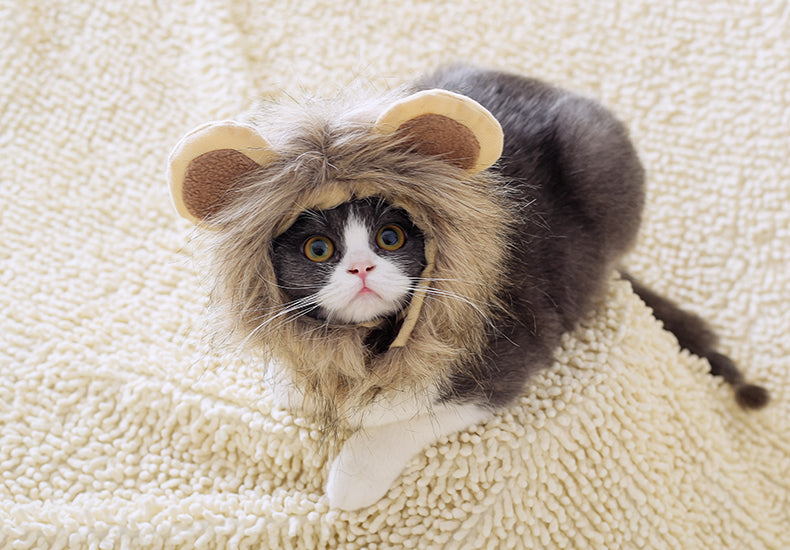 KFX-5368253 Cute Lion Headgear Cat Hat for Adorable Transformations - Non-Woven Material, Sizes S-38cm