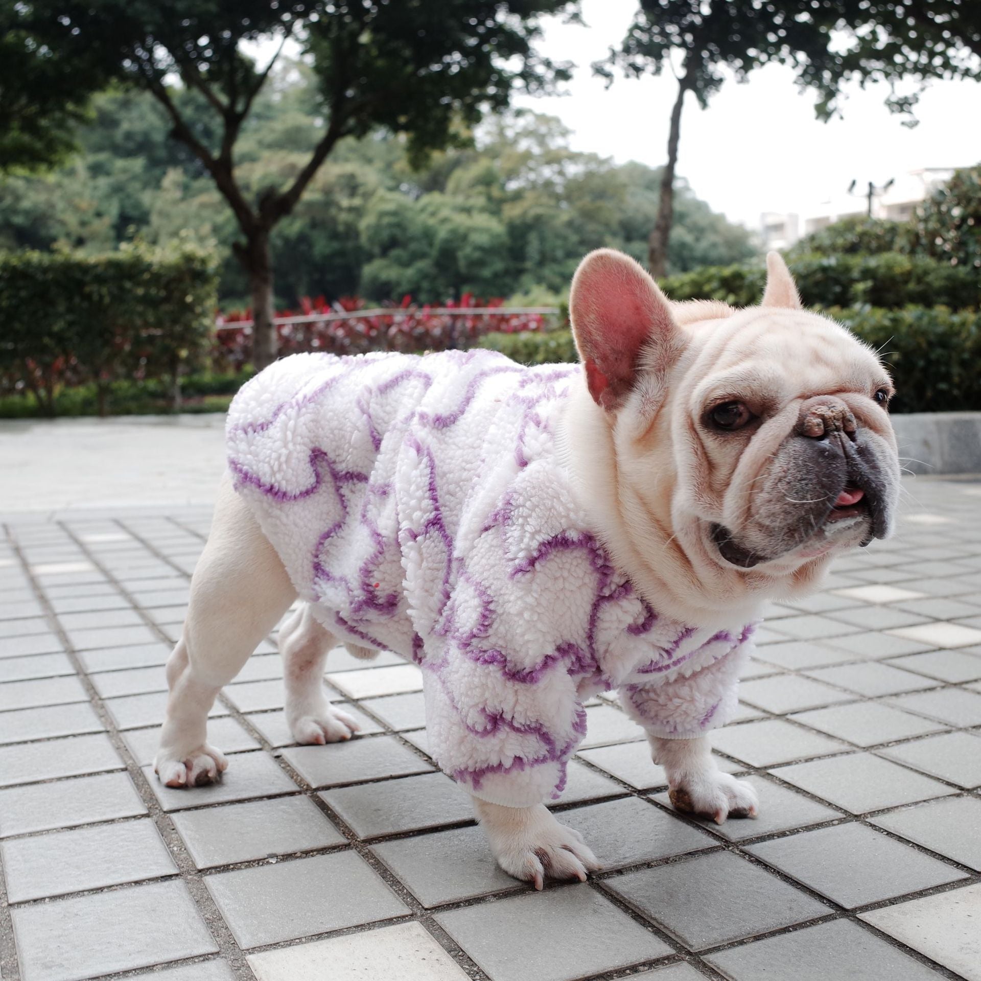 KFX-5369789 Warm and Cozy Thickened Grain Fleece Dog Coat in Purple - Sizes S to XL