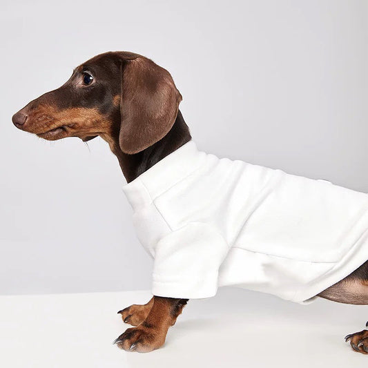 KFX-5374781 Stylish Cold-Proof Pet Apparel for Cats and Dogs in Various Sizes and Colors