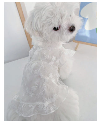 KFX-5379517 Cute White Lace Tulle Dog Skirt with Embroidery for Summer Wear