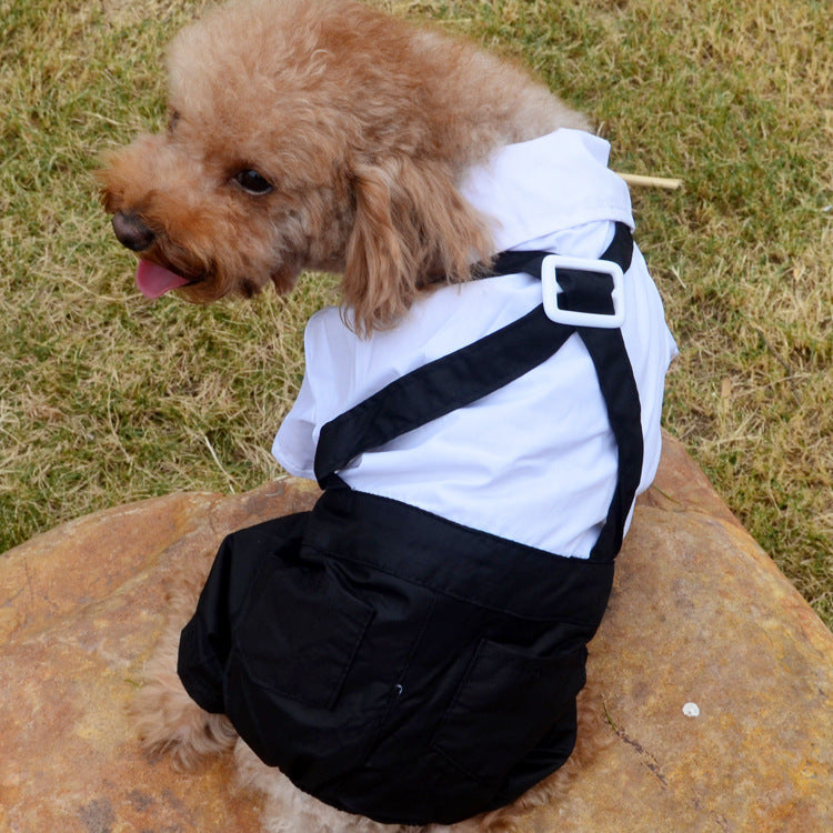 KFX-5388861 Elegant Pet Wedding Outfit with Stylish Trousers - Casual Cloth Design in Multiple Sizes