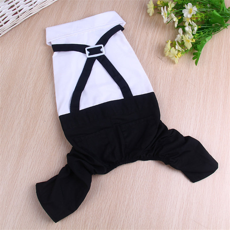 KFX-5388861 Elegant Pet Wedding Outfit with Stylish Trousers - Casual Cloth Design in Multiple Sizes