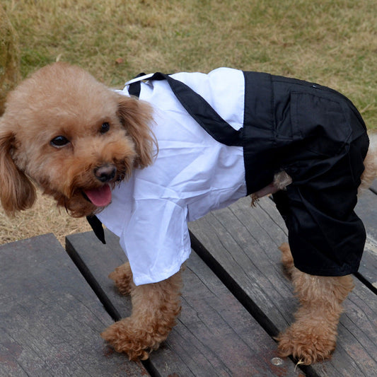 KFX-5388861 Elegant Pet Wedding Outfit with Stylish Trousers - Casual Cloth Design in Multiple Sizes