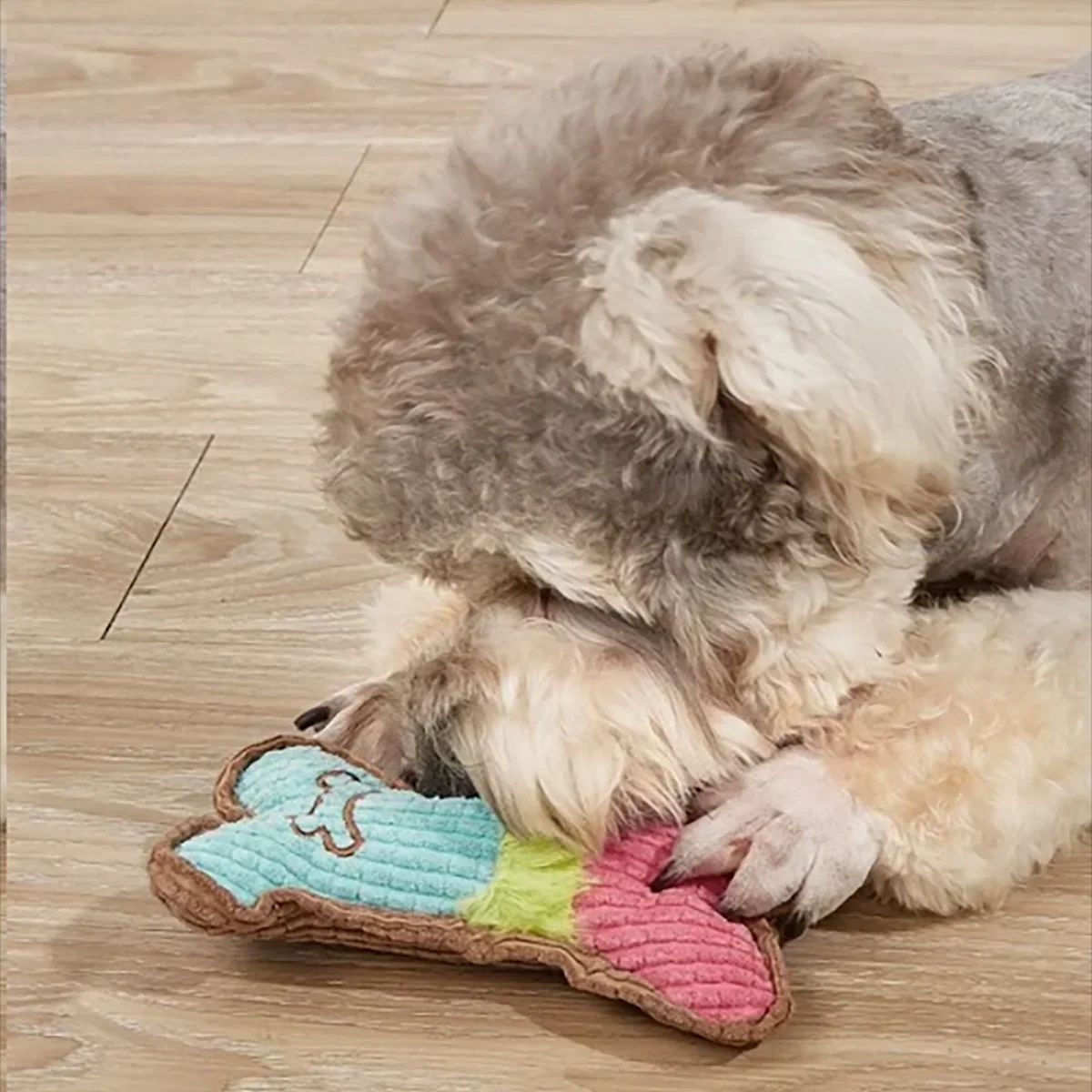 KFX-5390141 Plush Squeaky Dog Chew Toy for Small to Medium Breeds, Perfect for Teething and Interactive Play