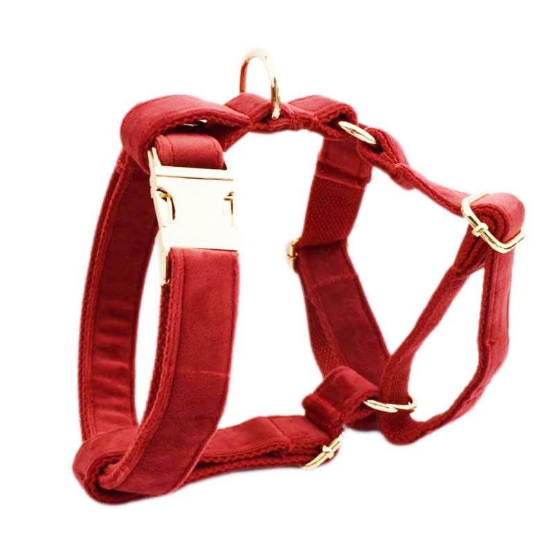 KFX-5391933 Five-Piece Dog Collar and Leash Set with Bow Tie and Poop Bag