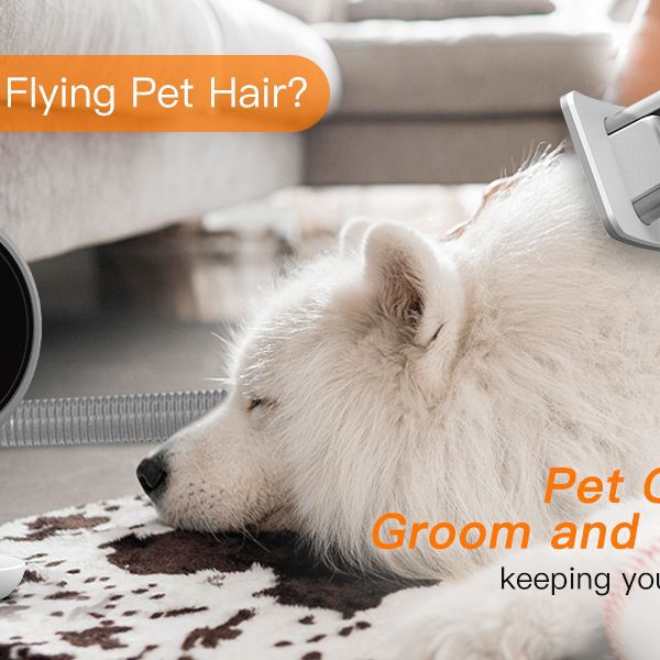 KFX-5392061 Multifunctional Pet Hair Vacuum Cleaner with 600W Power and 12000Pa Suction