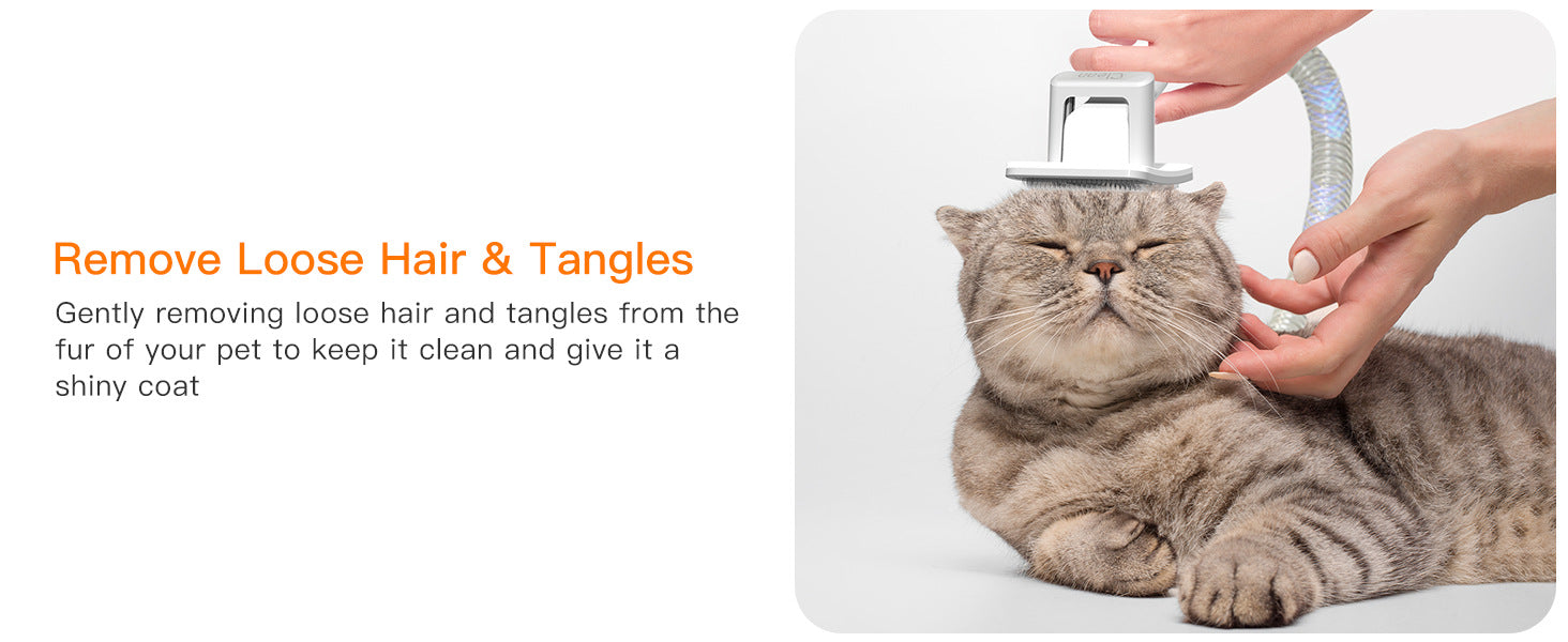 KFX-5392061 Multifunctional Pet Hair Vacuum Cleaner with 600W Power and 12000Pa Suction