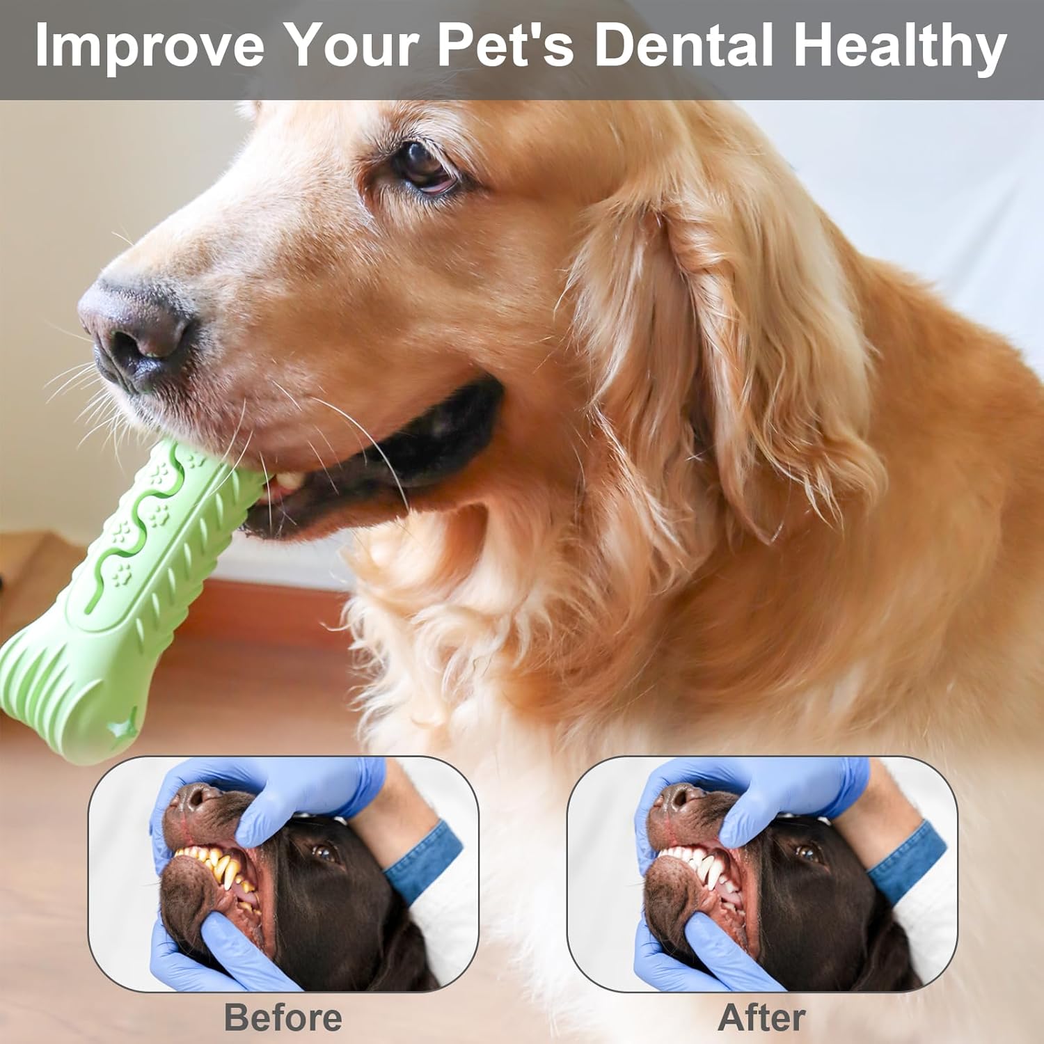KFX-5397693 Durable Bone-Shaped Chew Toy for Aggressive Chewers – Natural Rubber Dog Dental Care & Puzzle Treat Dispenser