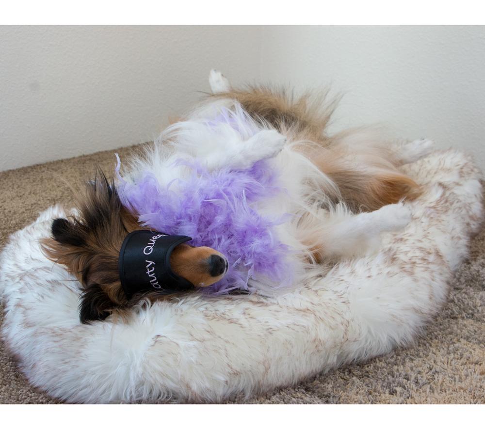 KFX-5398077 Plush Warm Pet Blanket for Cozy Snuggling and Protection on Sofas and Beds