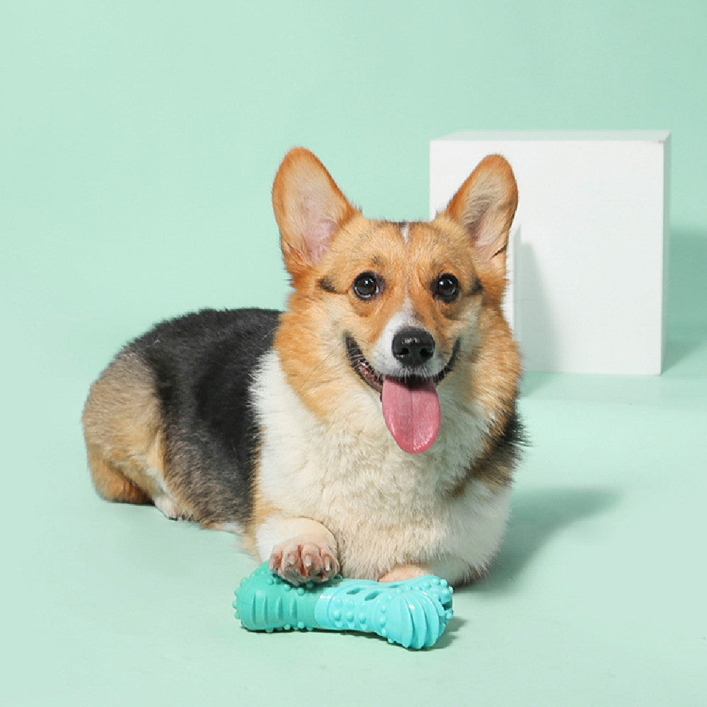 KFX-5406781 Dog Toy for Teeth Cleaning and Food Dispensing - Floating TPR Sticks, Crescent, Ball, and Bone