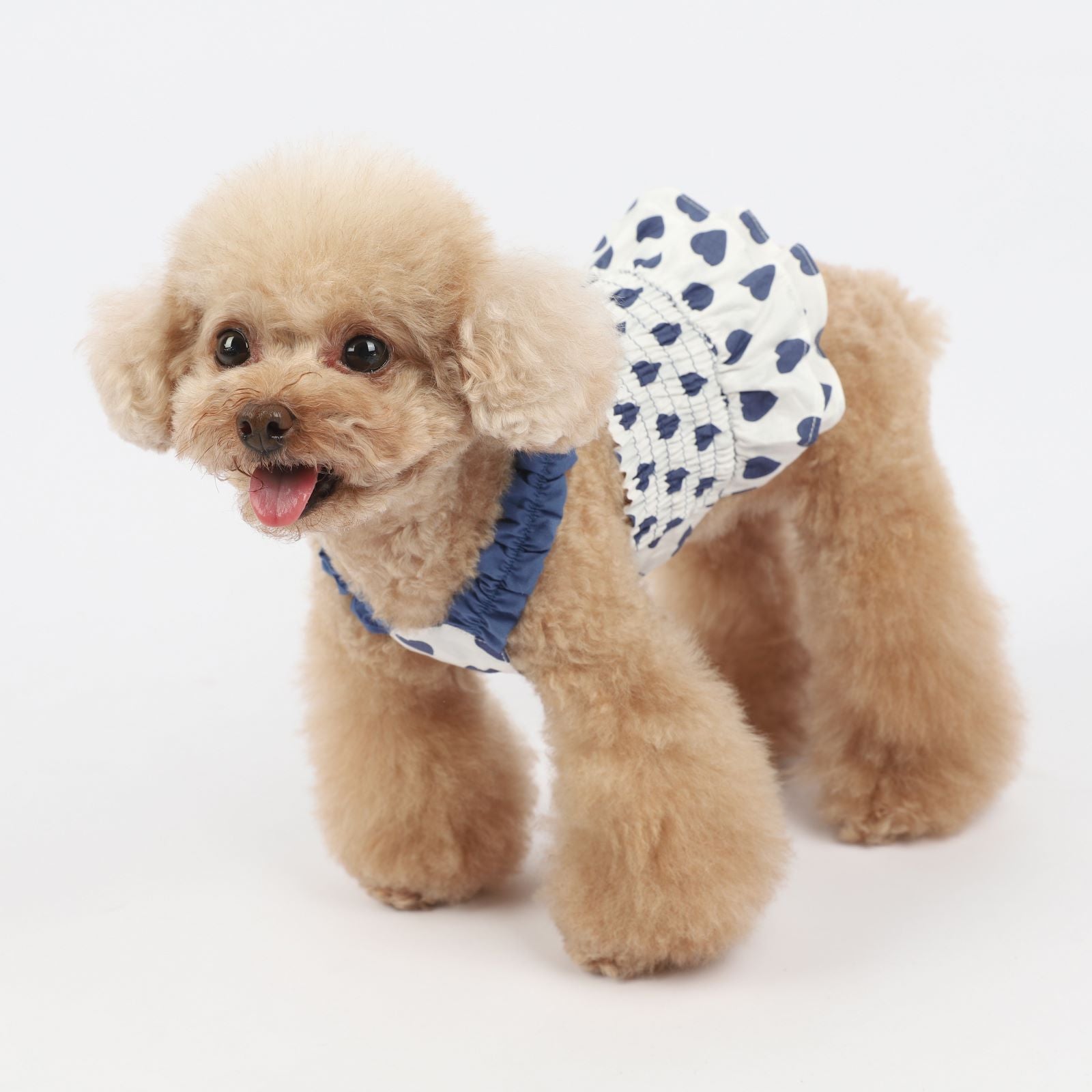 KFX-5412285 Korean Style Blue and Red Love Sling Dog Clothes in Cotton for All Sizes