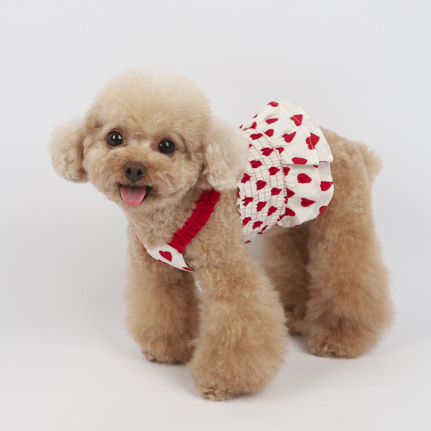 KFX-5412285 Korean Style Blue and Red Love Sling Dog Clothes in Cotton for All Sizes