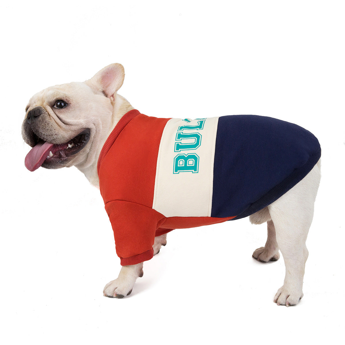 KFX-5412797 Cotton Pet Sweater for Autumn and Winter in Green and Wine Red
