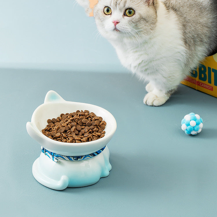 KFX-5423421 Ceramic Cat Food Bowl - Cervical Vertebra Design in Blue and Pink