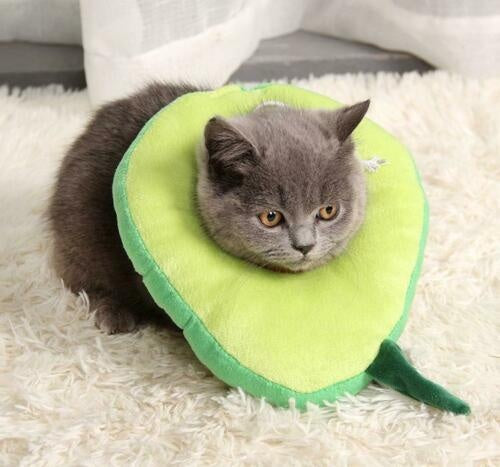 KFX-5424701 Soft Adjustable Pet Recovery Collar for Cats and Small Dogs – Lemon Design E-Collar for Post-Surgery Care and Wound Healing