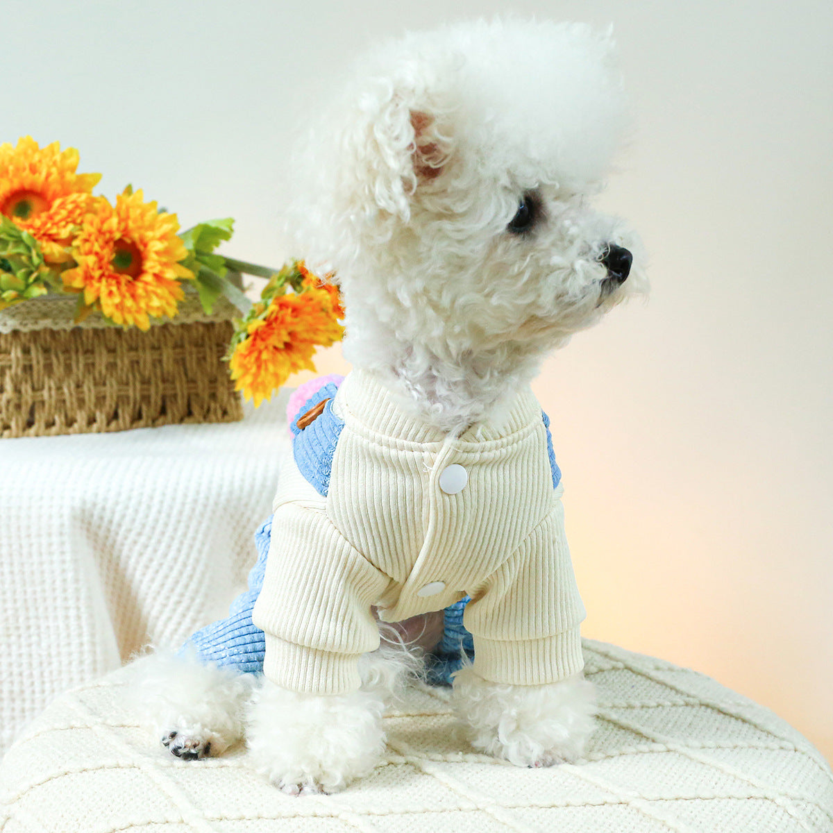 KFX-5434557 Elf Overalls for Pets - Casual Dog and Cat Clothing in Various Sizes