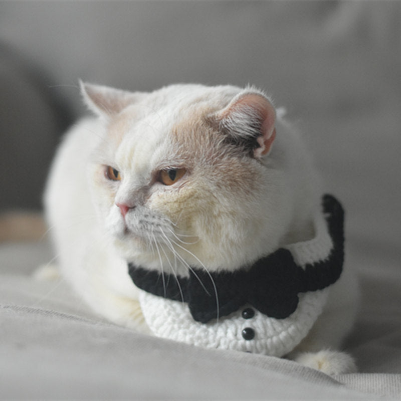 KFX-5436989 Gentleman Cat Scarf & Top Hat Set for Small Pets - Size S & M Available