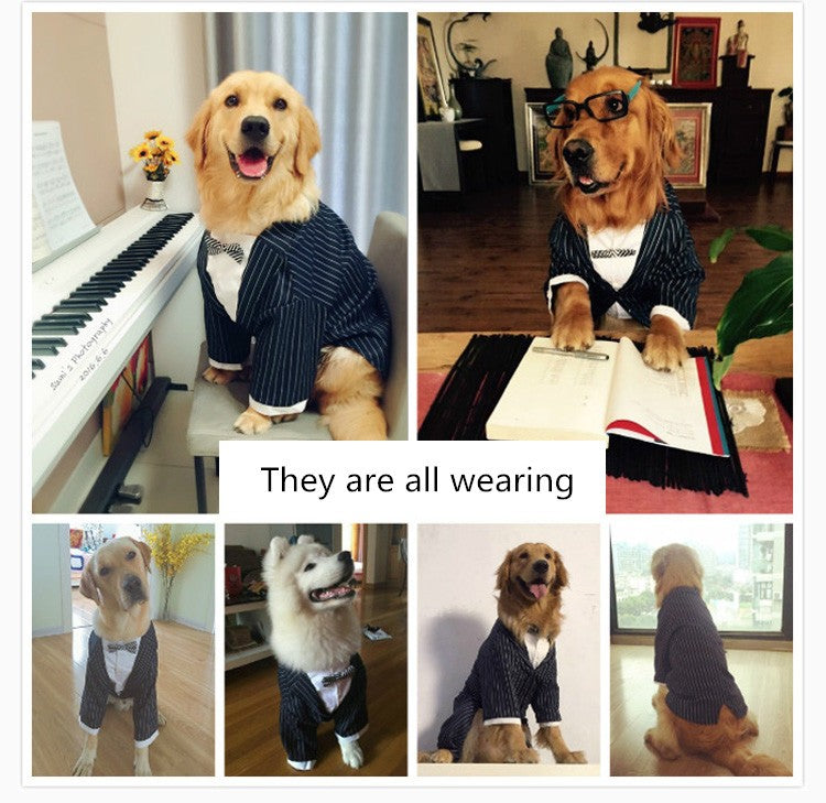 KFX-5442877 Striped Bow Tie Suit for Dogs - Stylish, Comfortable Pet Attire in Various Sizes