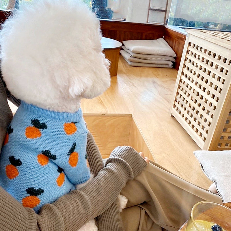 KFX-5445053 Knitted Long Sleeve Dog Sweater in Blue for Comfortable Wear