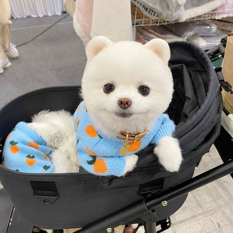 KFX-5445053 Knitted Long Sleeve Dog Sweater in Blue for Comfortable Wear
