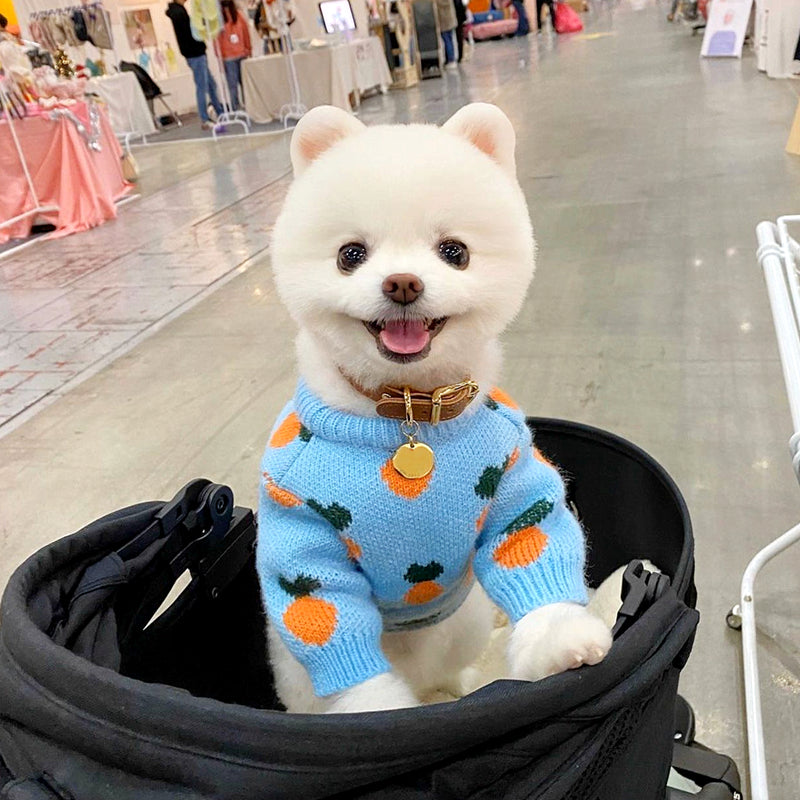 KFX-5445053 Knitted Long Sleeve Dog Sweater in Blue for Comfortable Wear
