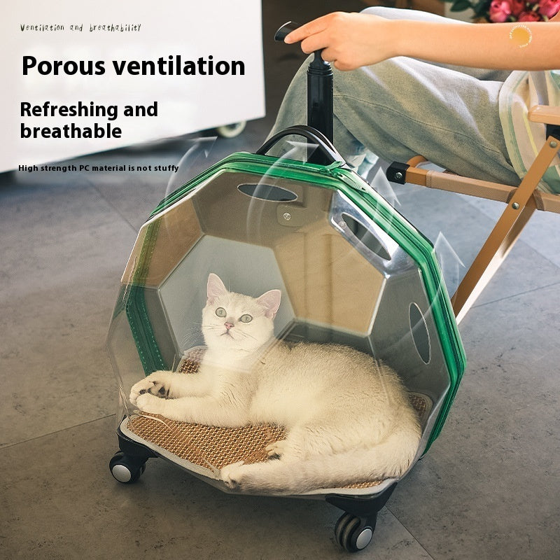 KFX-5452477 Transparent Portable Pet Trolley for Cats and Dogs - Medium Hard Luggage Case with Reinforced PC Pull Rod