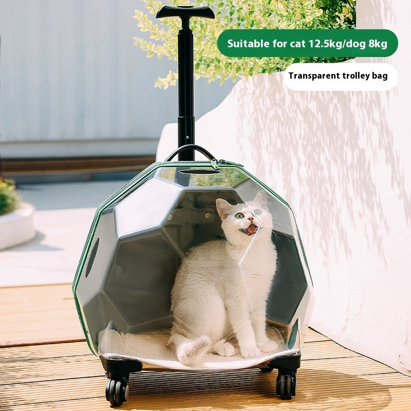 KFX-5452477 Transparent Portable Pet Trolley for Cats and Dogs - Medium Hard Luggage Case with Reinforced PC Pull Rod