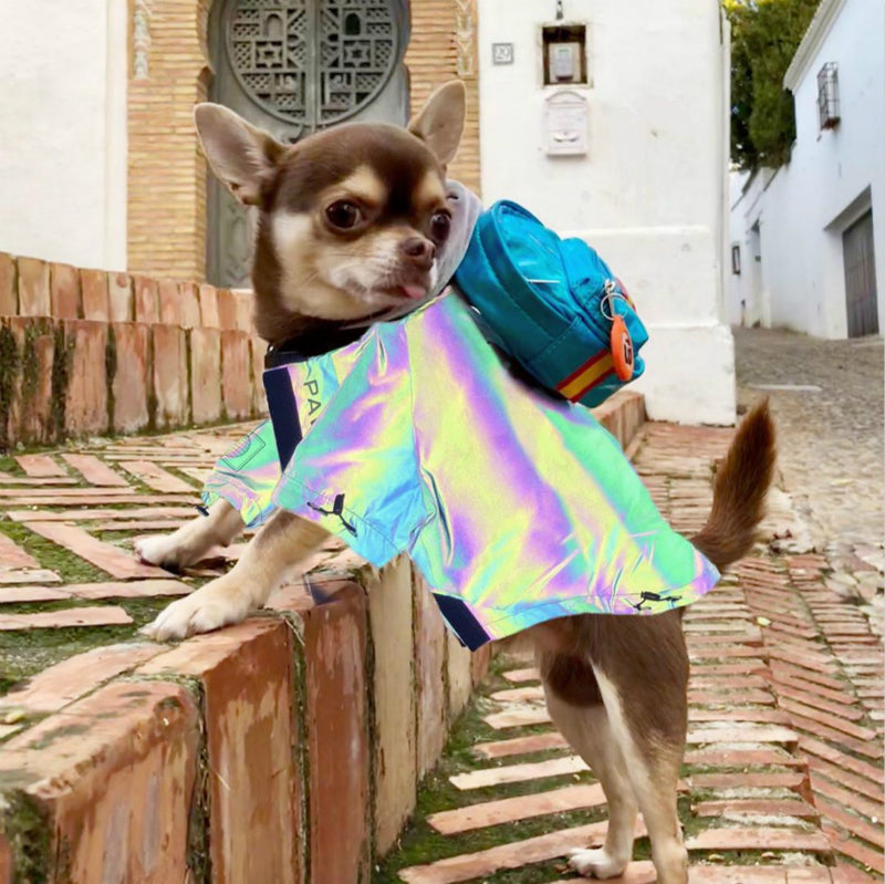 KFX-5471677 Reflective Microcrystalline Dog Apparel - Waterproof, Windproof, Wear-Resistant, Size S-4XL